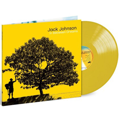 Jack Johnson - In Between Dreams LP NEW