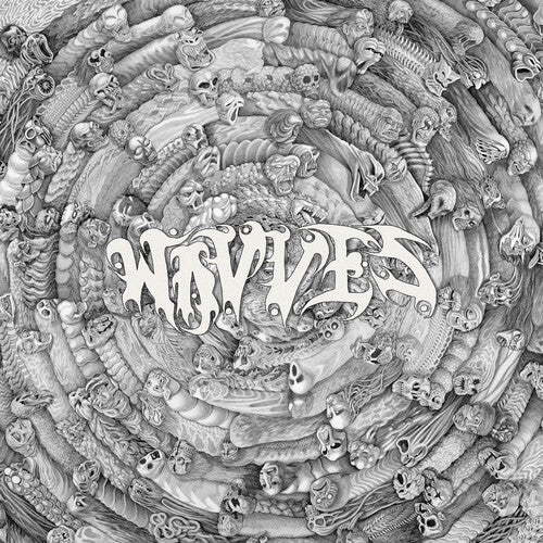 Wavves - Spun LP NEW