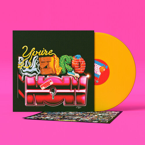Guerilla Toss - You're Weird Now LP NEW LOSER EDITION