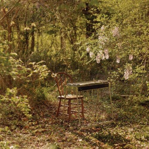 Luke Schneider - For Dancing In Quiet Light LP NEW