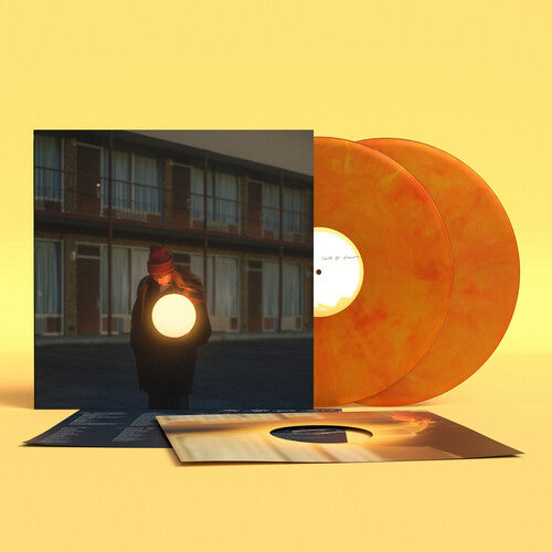 Flock of Dimes - The Life You Save 2LP NEW LOSER EDITION