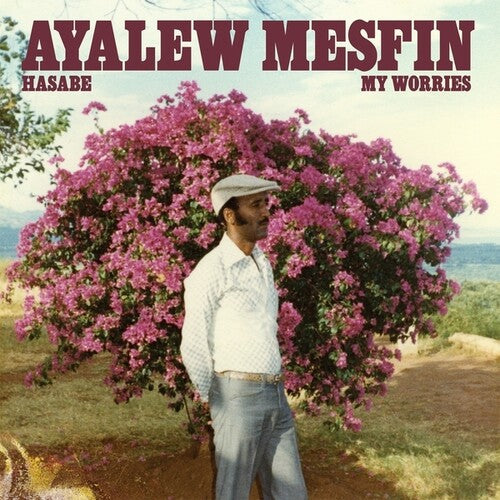 Ayalew Mesfin - Hasabe - My Worries LP NEW