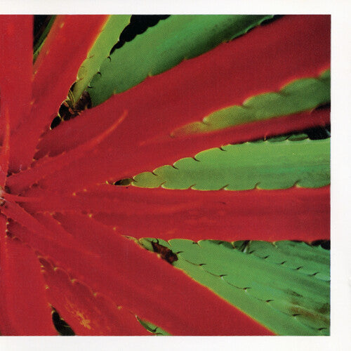 Jejune - This Afternoons Malady 2LP NEW