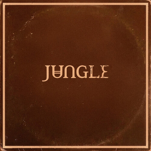 Jungle - Sunshine LP NEW Indie Exclusive
