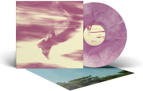 Bees Made Honey in the Vein Tree -  In Between Strides LP NEW