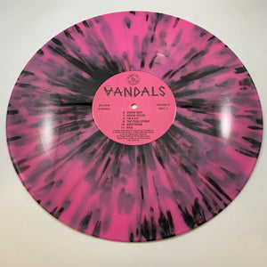 The Vandals – When In Rome Do As The Vandals LP USED Vinyl NM/VG+
