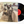 The Byrds – (Untitled) LP USED Vinyl VG++/VG+