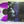 Slow Crush – Hush LP USED Vinyl NM/VG++ Color Vinyl