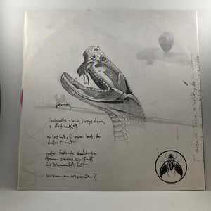 AFI – Sing The Sorrow LP USED Vinyl VG+/VG+ Limited Edition / Red Vinyl