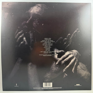 Slipknot – We Are Not Your Kind LP USED Vinyl NM/NM Color Vinyl