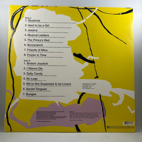 Adam Green – Friends Of Mine LP USED Vinyl NM/VG+