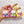 READING CAT KEY CHARM-12