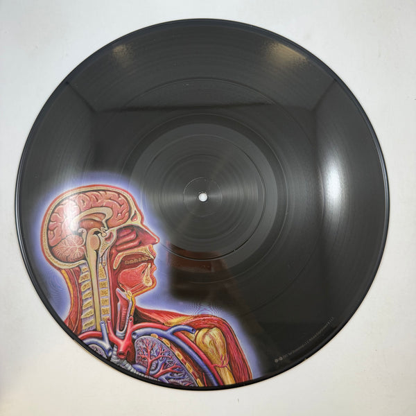 Tool – Lateralus LP USED Vinyl NM/VG++ Picture Disc