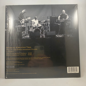 Radical Empathy Trio – Reality and Other Imaginary Places LP USED Vinyl VG++/NM