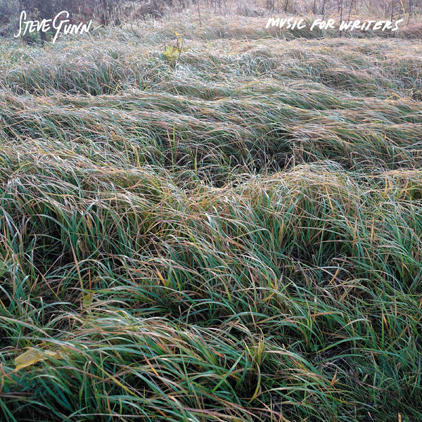 Steve Gunn - Music For Writers LP NEW