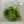 Weezer – Africa 10