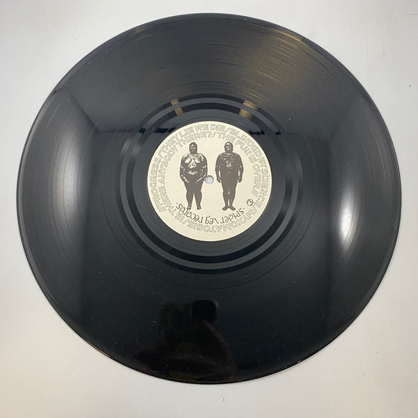 Flux Of Pink Indians – Strive To Survive Causing Least Suffering Possible LP USED Vinyl VG++/VG