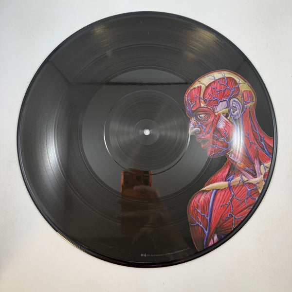 Tool – Lateralus LP USED Vinyl NM/VG++ Picture Disc