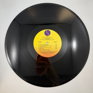 Ramones – Rocket To Russia LP USED Vinyl VG+/VG