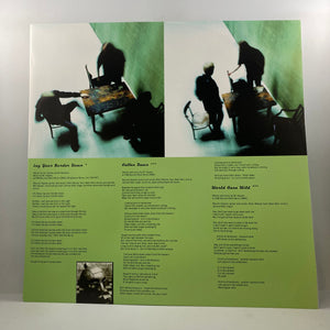 Gov't Mule – Life Before Insanity LP USED Vinyl NM/NM / Color Vinyl
