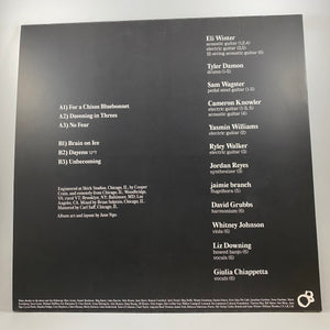 Eli Winter – Eli Winter LP USED Vinyl NM/VG+ Color Vinyl
