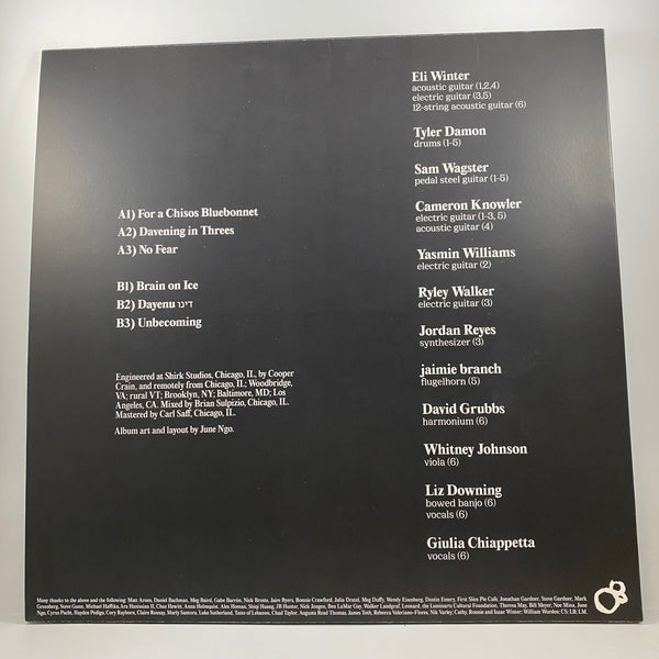 Eli Winter – Eli Winter LP USED Vinyl NM/VG+ Color Vinyl