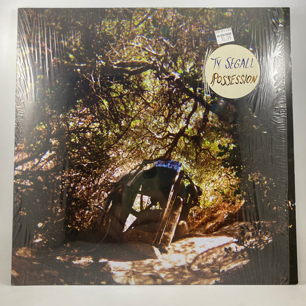 Ty Segall – Possession LP USED Vinyl VG+/NM