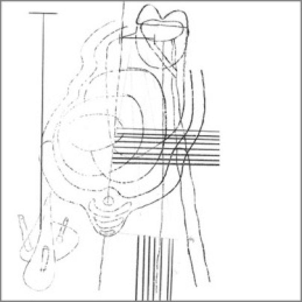 Gastr del Sol - Camoufleur LP NEW