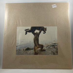Shellac – Dude Incredible LP USED Vinyl VG++/NM