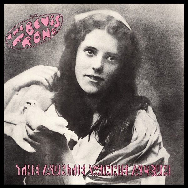 Bevis Frond - The Auntie Winnie Album 2LP NEW