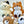 ANIMAL KEY CHARM-12
