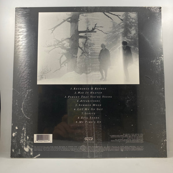 The Raveonettes – Raven In The Grave LP USED Vinyl Mint / Still Sealed