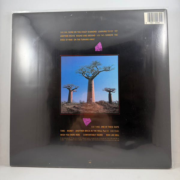 Pink Floyd – Delicate Sound Of Thunder LP USED Vinyl NM/VG+
