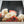 Sightless Pit – Grave Of A Dog LP USED Vinyl NM/NM Color Vinyl