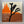The Desert Sessions – Vol IV / Hard Walls And Little Trips 10