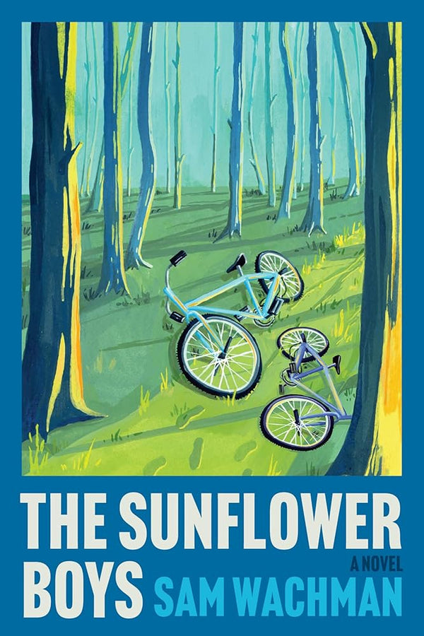 The Sunflower Boys: A Novel cover image