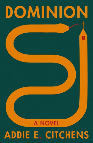 Dominion: A Novel cover image