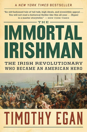 The Immortal Irishman: The Irish Revolutionary Who Became an American Hero cover image