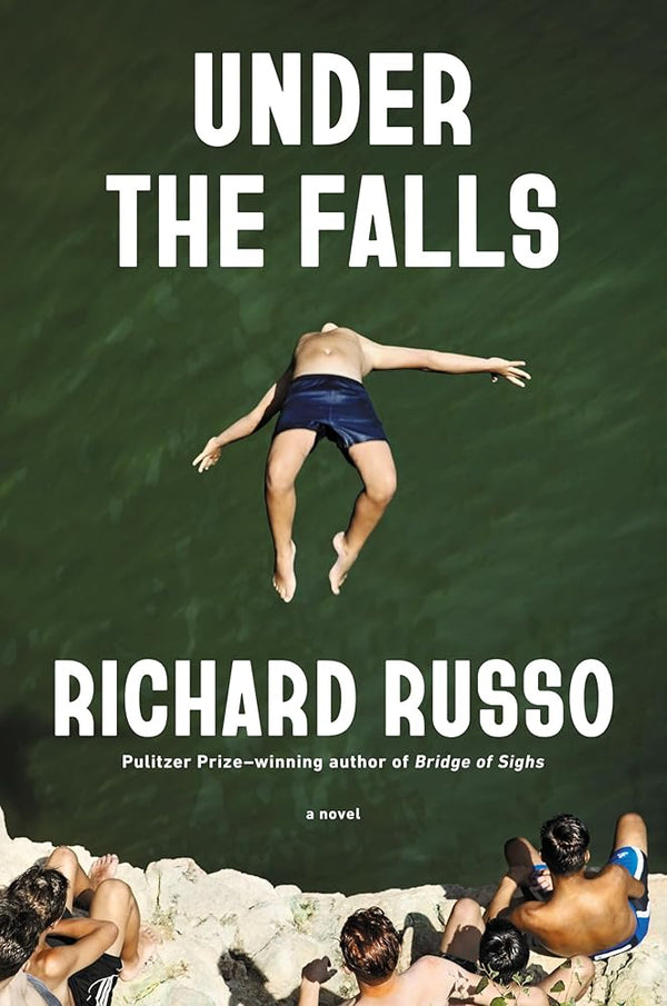 Under the Falls: A Novel cover image