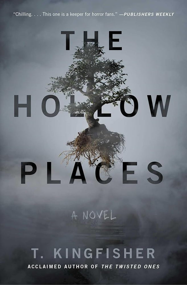 The Hollow Places: A Novel cover image