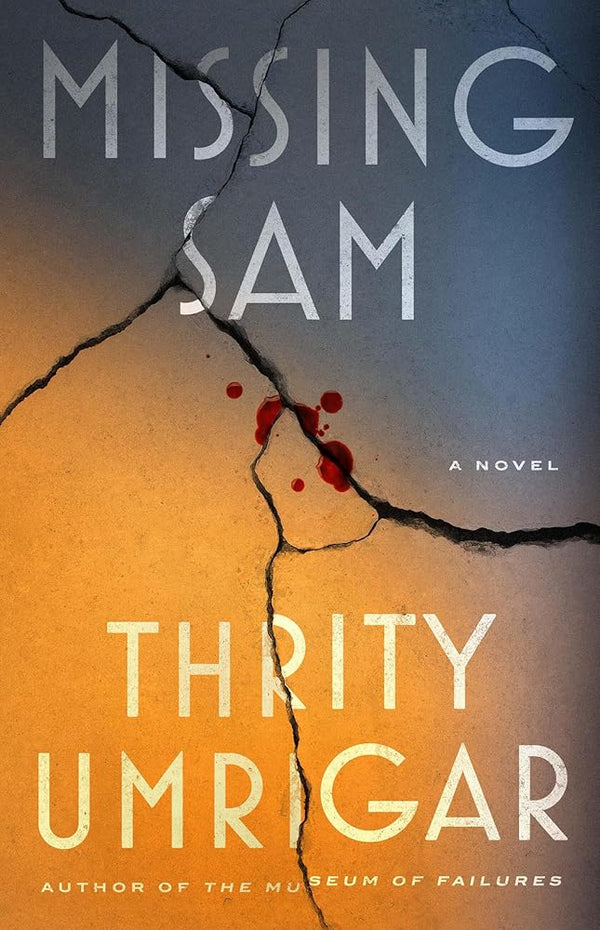 Missing Sam: A Novel cover image