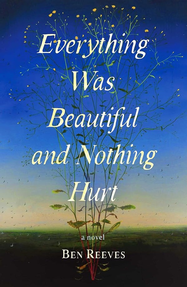 Everything Was Beautiful and Nothing Hurt: A Novel cover image