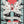Hell Followed with Us cover image