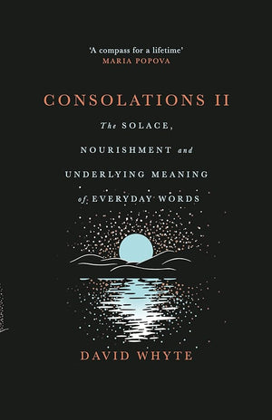 Consolations II: The Solace, Nourishment and Underlying Meaning of Everyday Words cover image