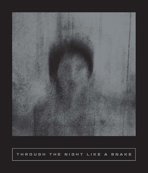 Through the Night Like a Snake: Latin American Horror Stories (Calico Series) cover image