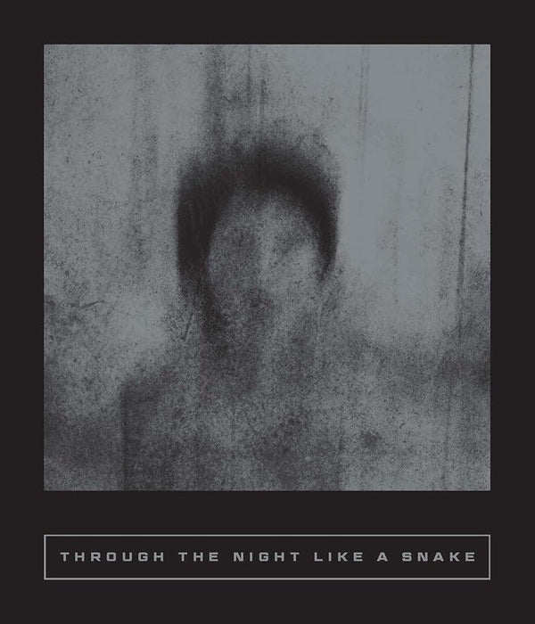 Through the Night Like a Snake: Latin American Horror Stories (Calico Series) cover image