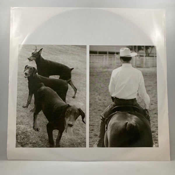 Lyle Lovett – My Baby Don't Tolerate LP USED Vinyl VG+/VG+