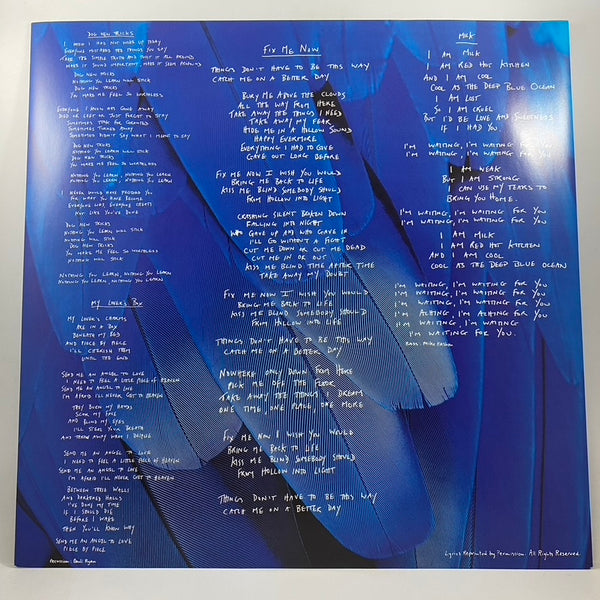Garbage – Garbage LP USED Vinyl VG+/VG LP USED Vinyl VG+/VG
