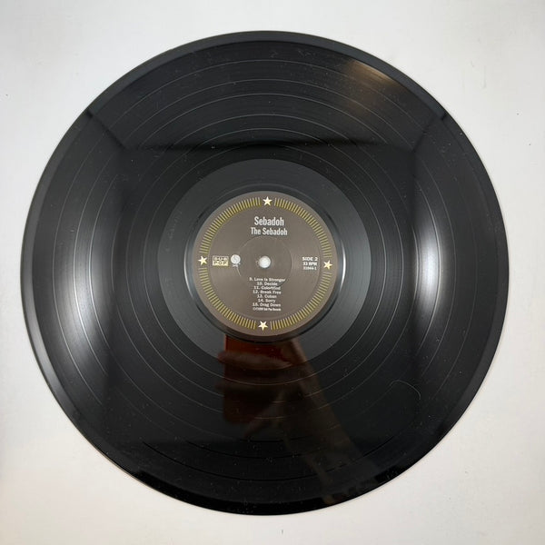 Sebadoh – The Sebadoh LP USED Vinyl VG+/VG++