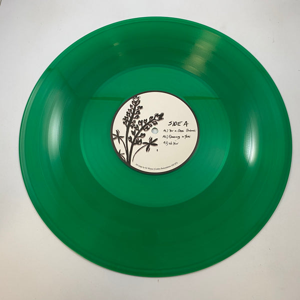 Eli Winter – Eli Winter LP USED Vinyl NM/VG+ Color Vinyl